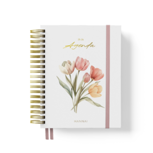 hannai agenda petals of change 01